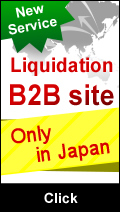 Liquidation B2B site
Only in Japan