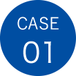 case01